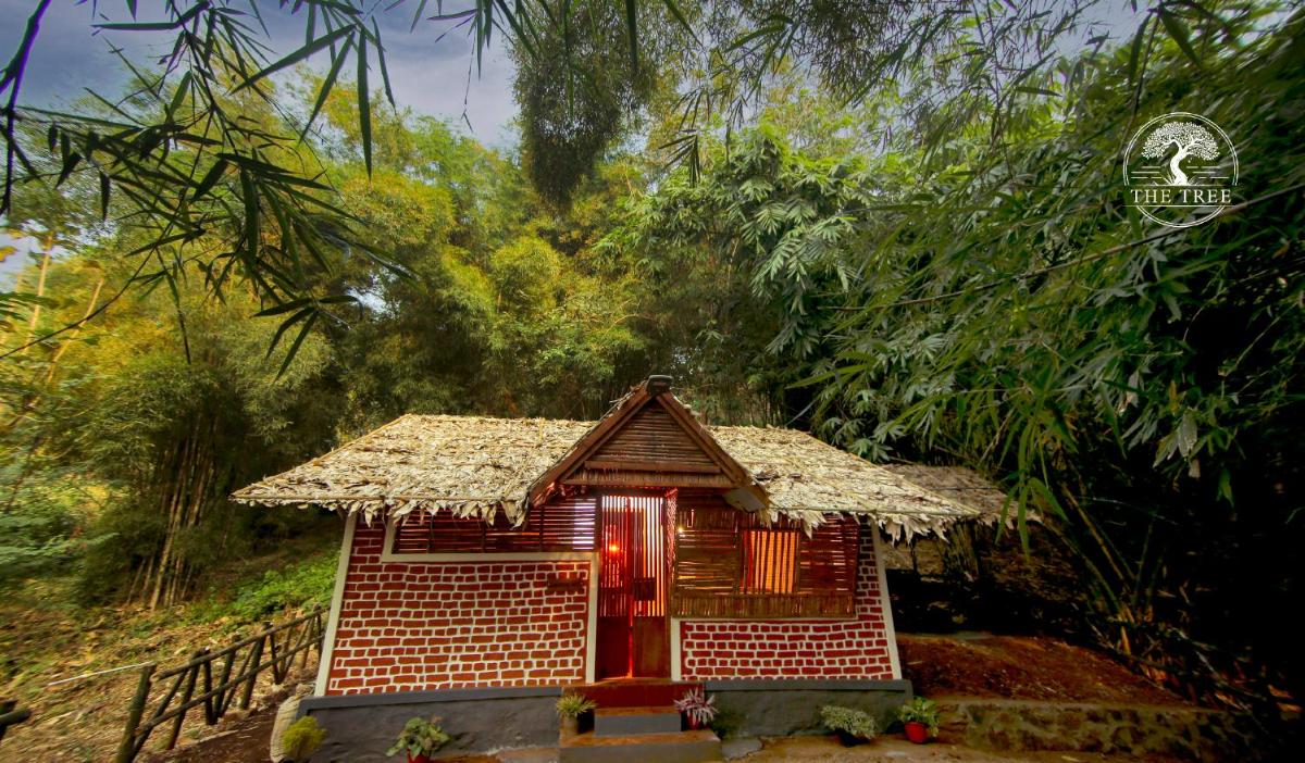 The Tree Organic Farm and Stay - Non Alcoholic Property - Housity
