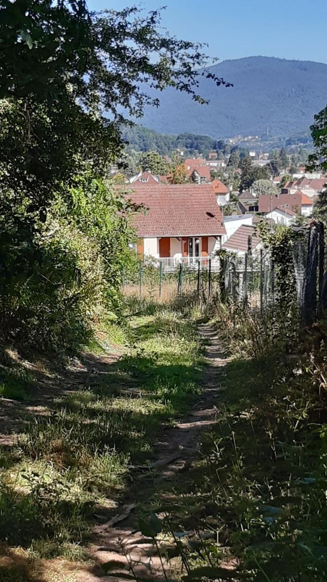 Ravissant studio dans un cadre agréable - Housity