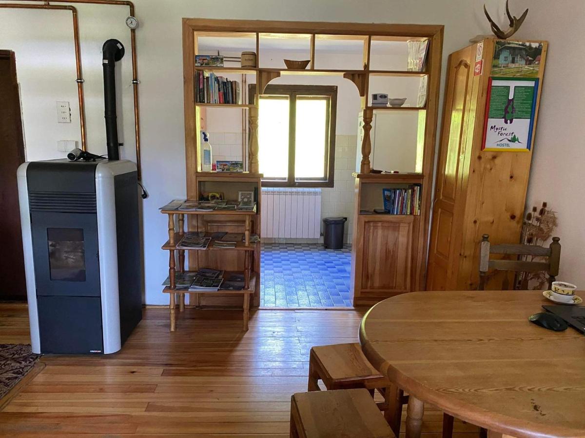 Mystic Forest Hostel - Housity