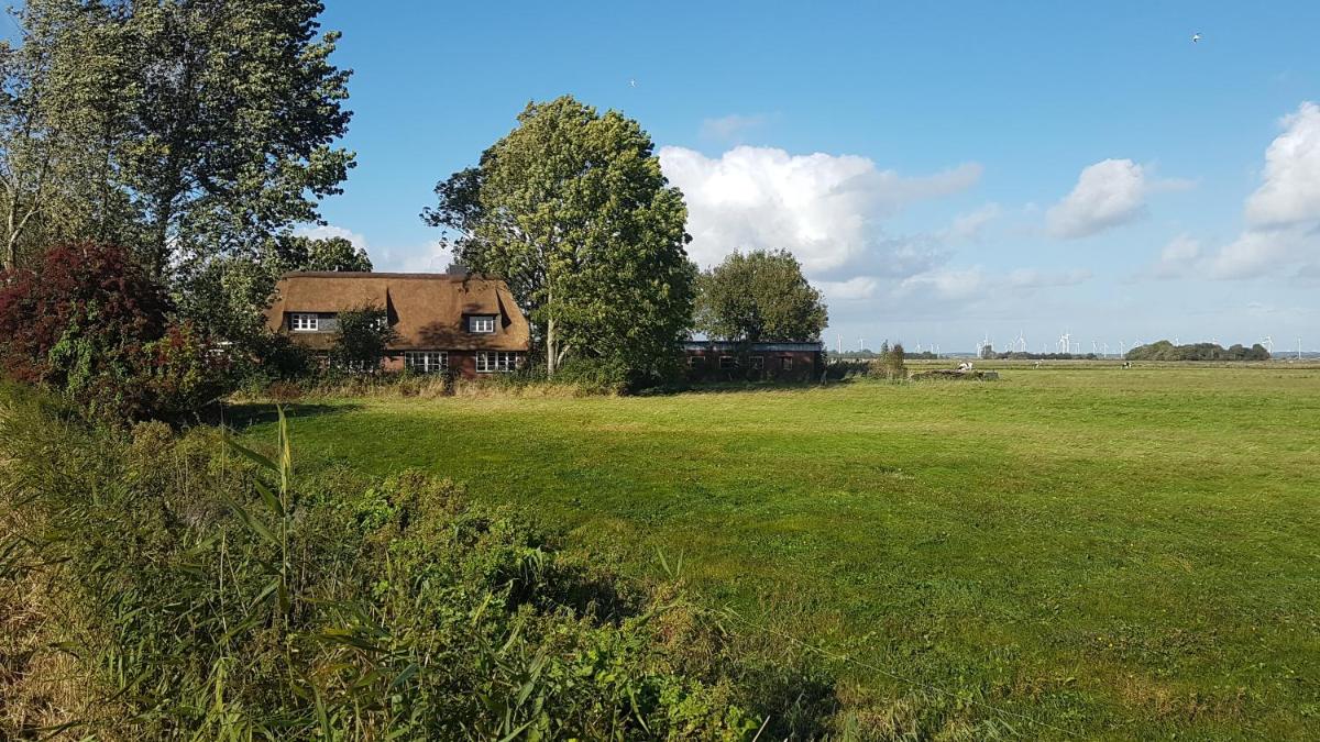 Ferienwohnung Marschkieker - Kleiner Deichhof - Housity