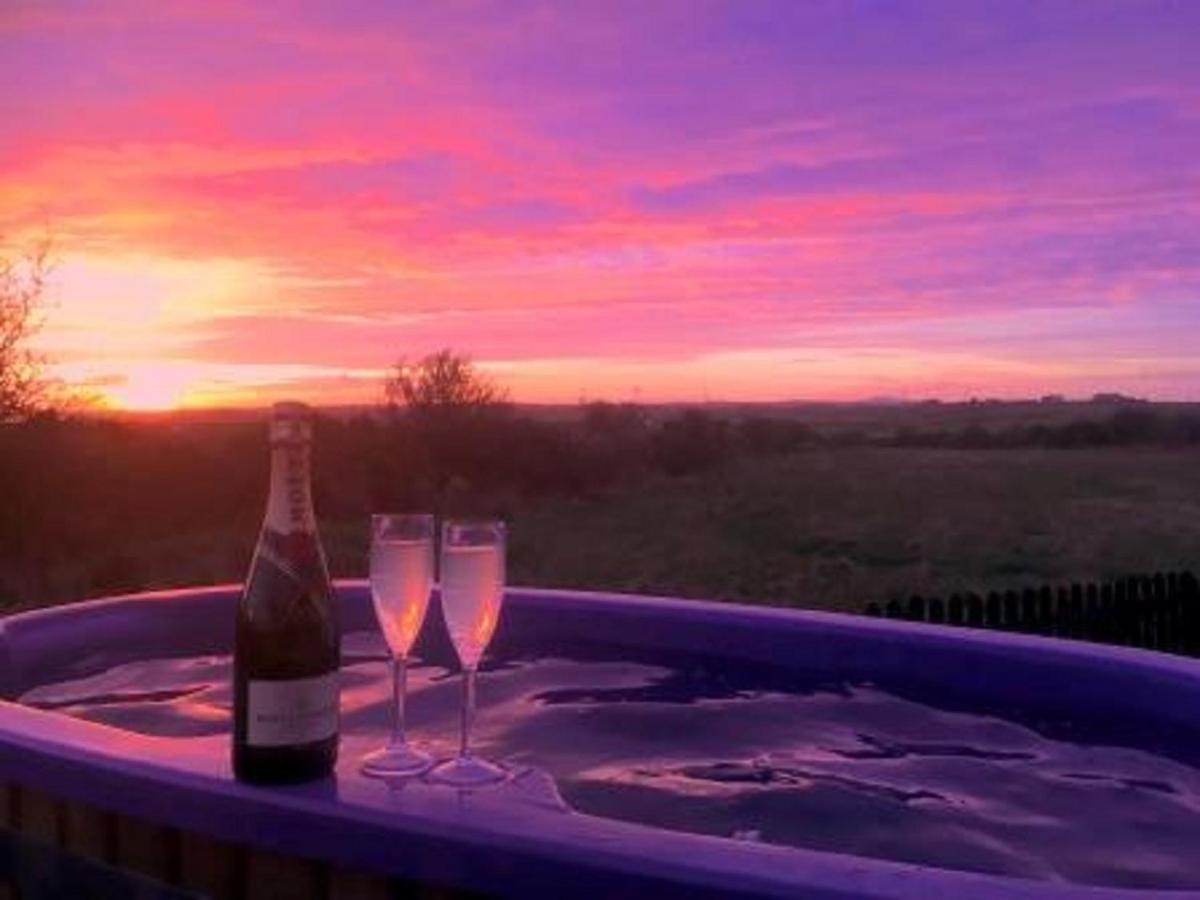 Willow Glamping Hut with HOT TUB, Ensuite, BBQ, Firepit, Views, Fenced Garden, Dog Friendly, Alpacas on site on Anglesey, North Wales - Housity