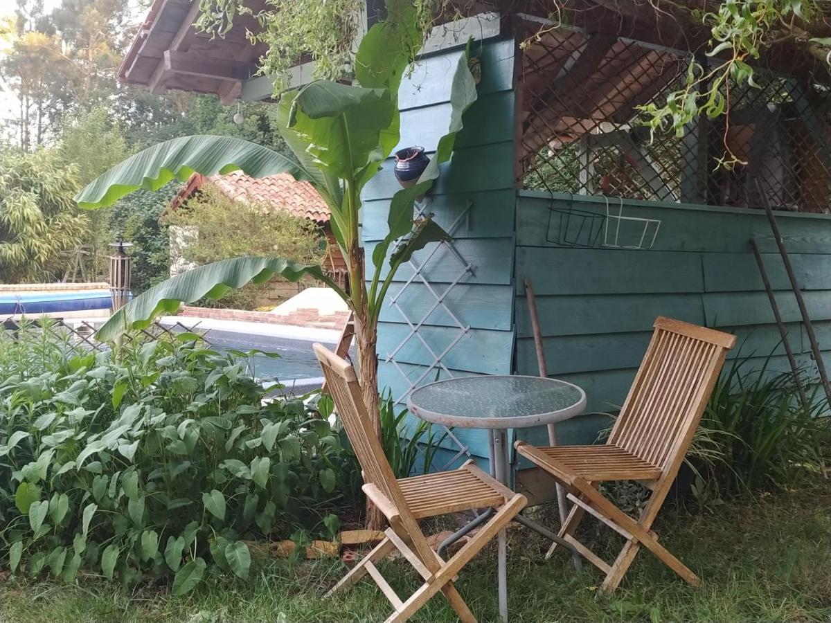 Chambre d hôte dans un magnifique chalet - Housity