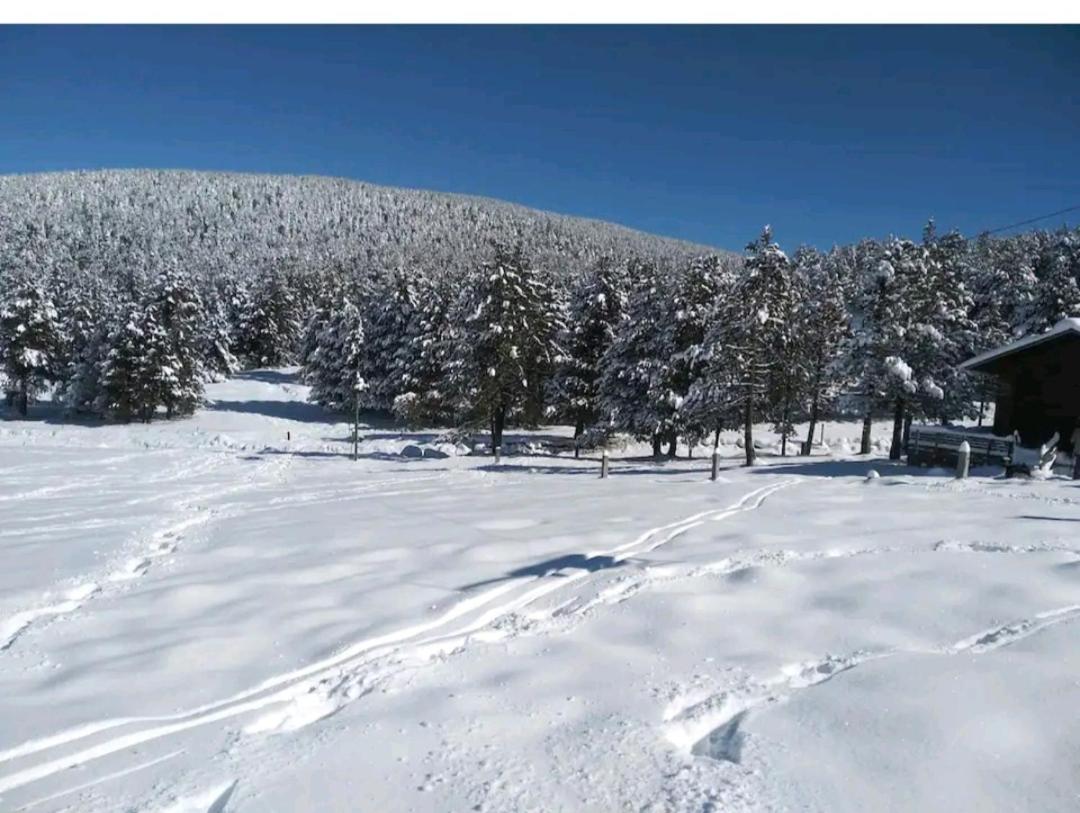Apartamento en el pirineo catalan - Housity