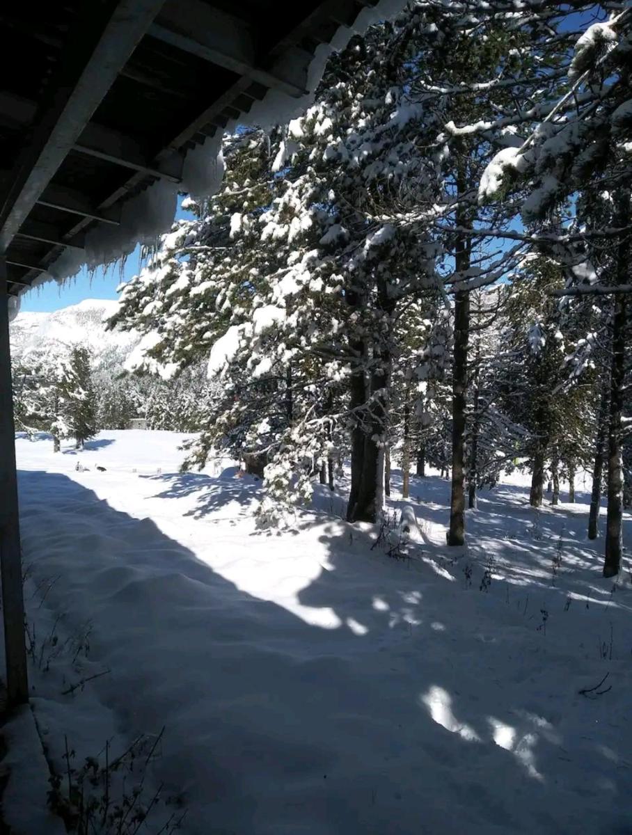Apartamento en el pirineo catalan - Housity