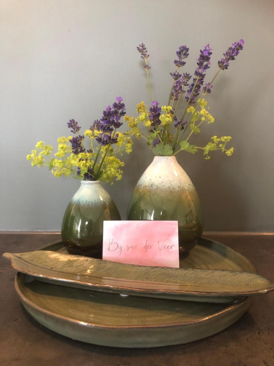 Bij van der Veer - Housity