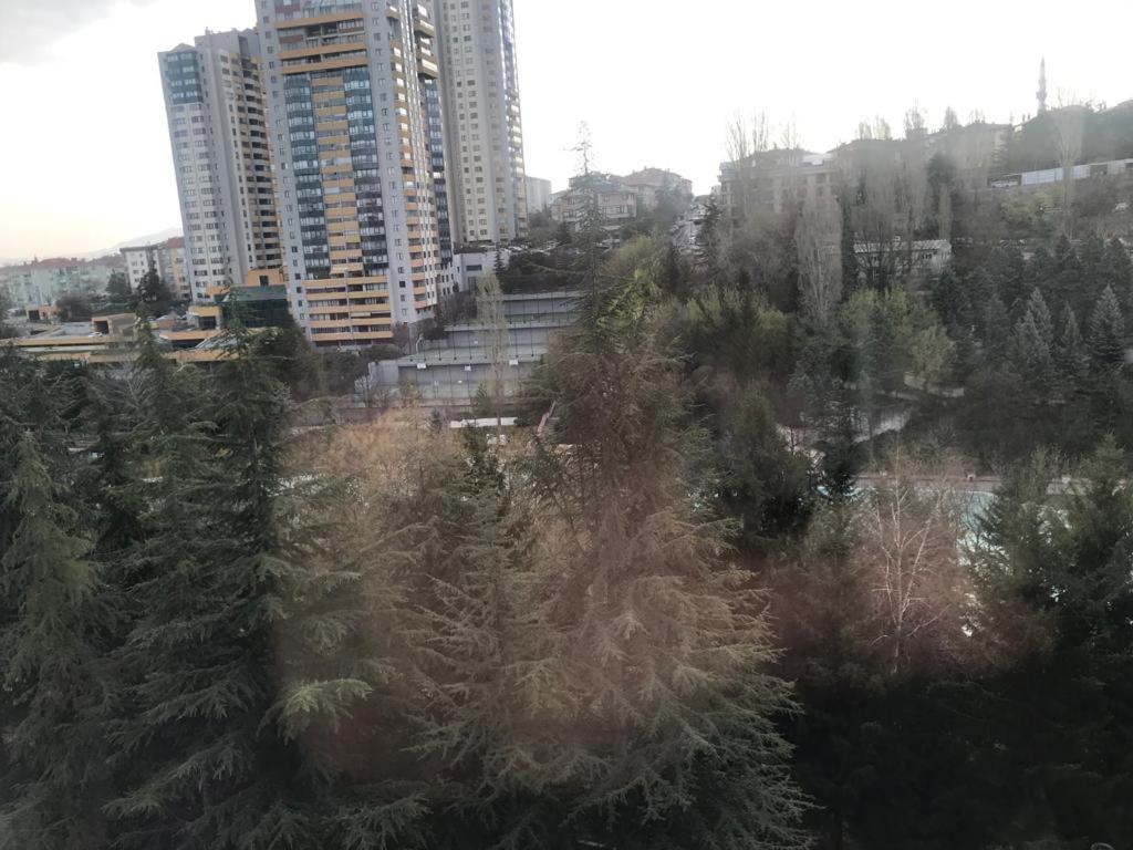 ankara renthal house - Housity