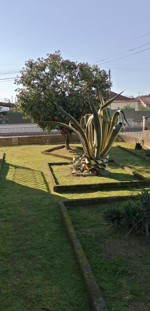 Moradia santa comba - Housity