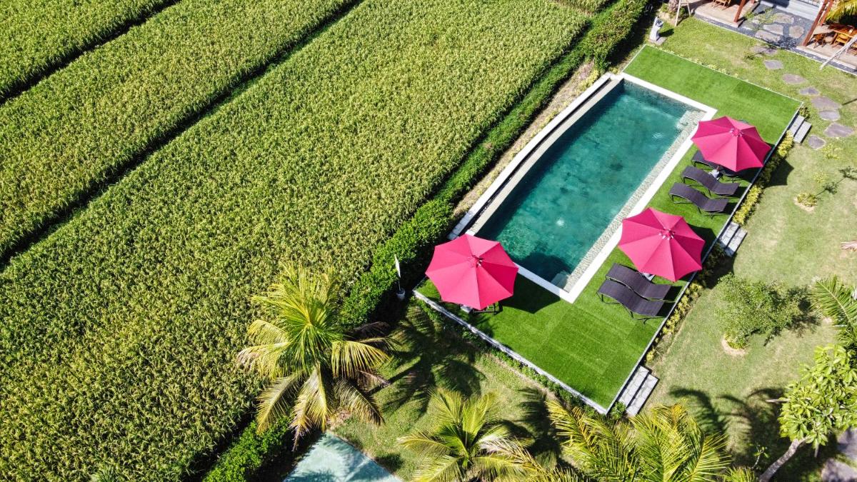 Adil Villa & Resort - Housity