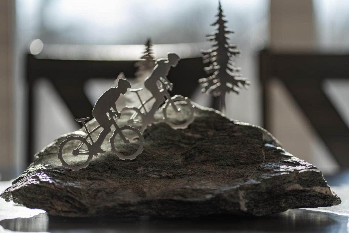 Modern MTB retreat with Bike Repair/Wash/Parking - Housity