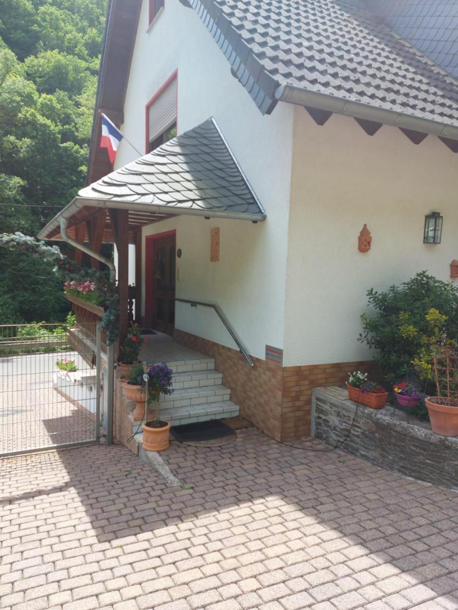 Pension Belzer - Housity