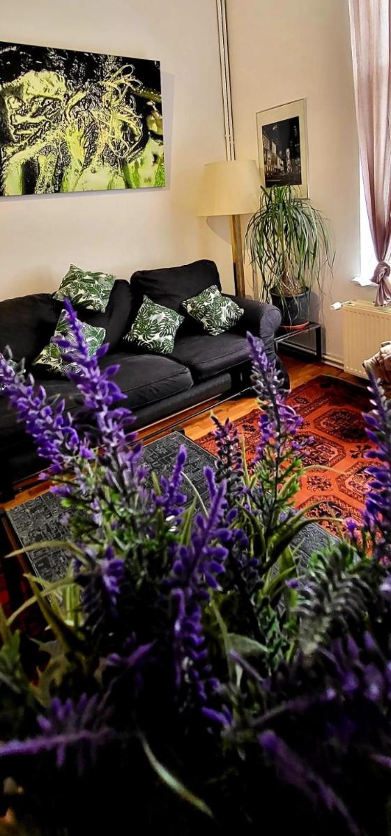 Bright studio close to Zaventem airport - Housity