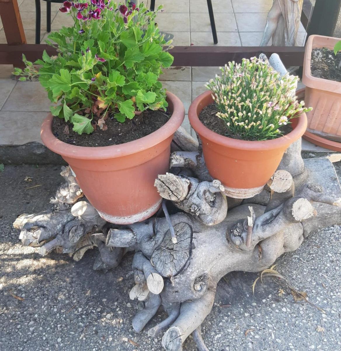 La Piccola Mole - Housity
