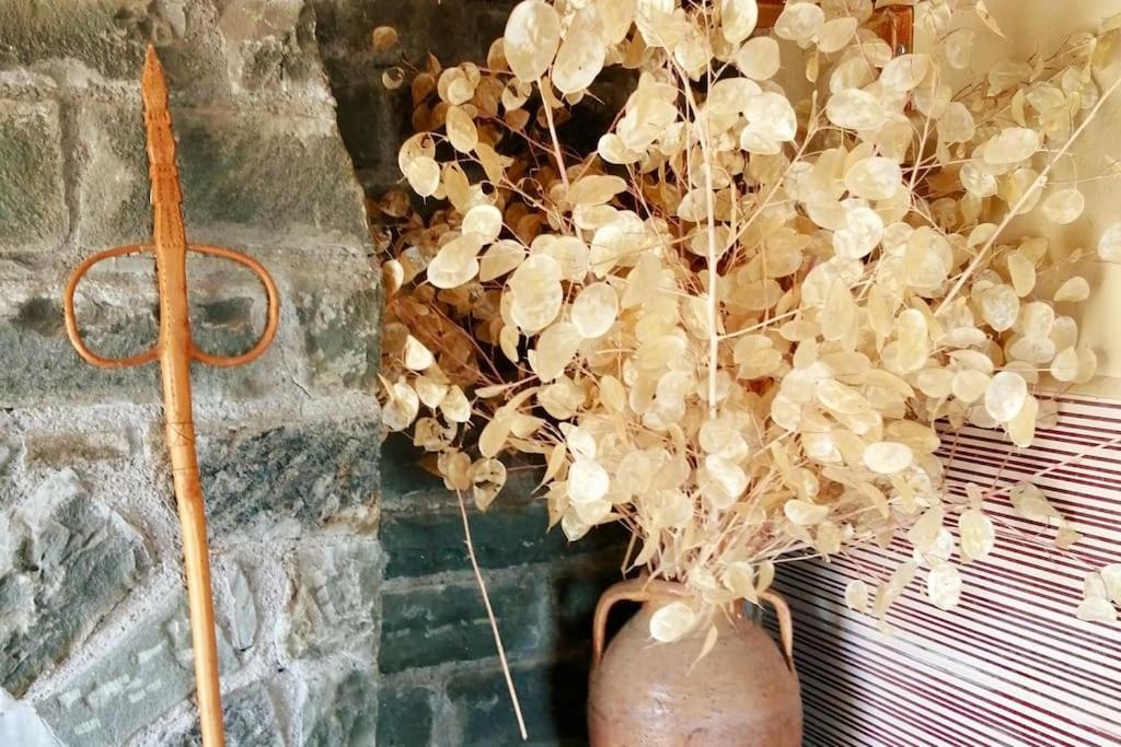 Anogeio - Traditional house in Tikhion - Housity