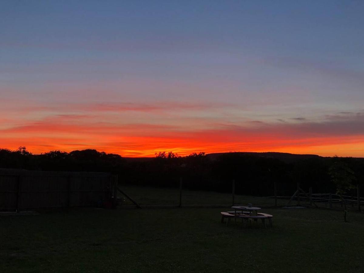 Crooked Oaks Bell Tent Glamping in North Devon - Housity