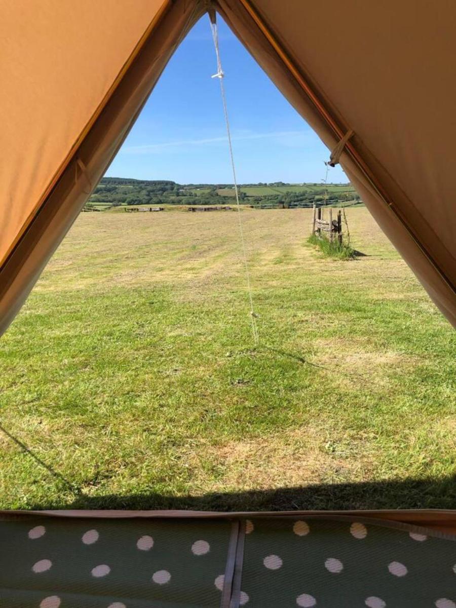 Crooked Oaks Bell Tent Glamping in North Devon - Housity