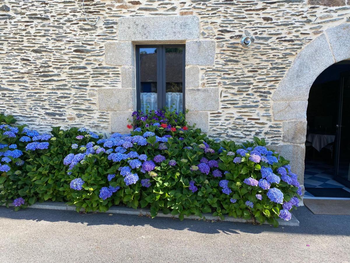 Le gîte d'Arthur - Housity