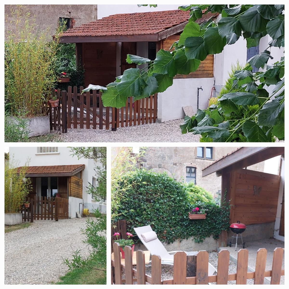 Le Chant de l'Alyte - Housity