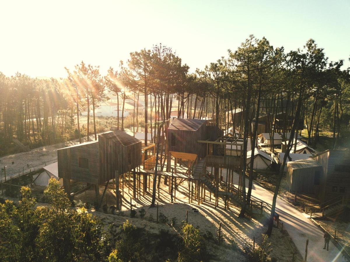 um grupo de árvores e casas em um parque em Bukubaki Eco Surf em Ferrel