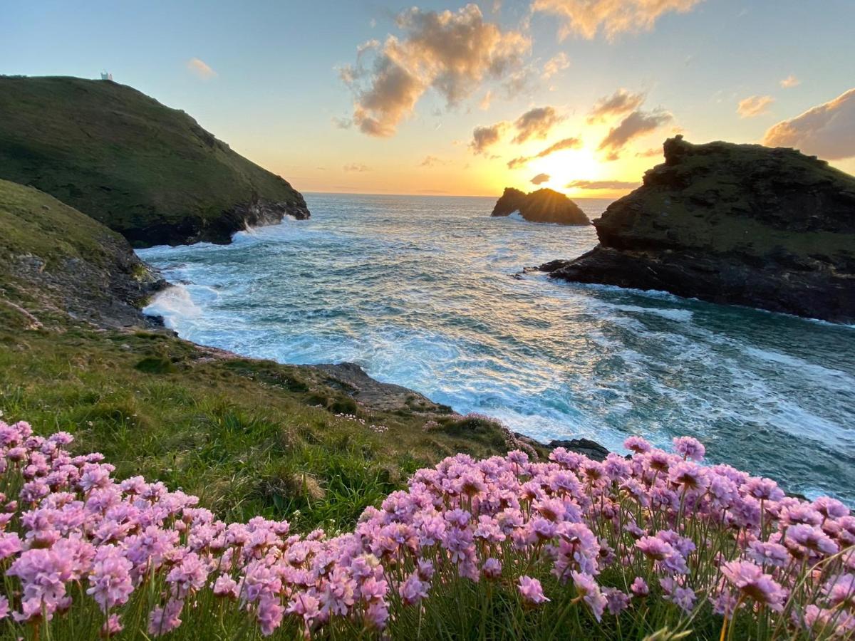 Polrunny Farm Sloe Cottage with a sea view - Housity
