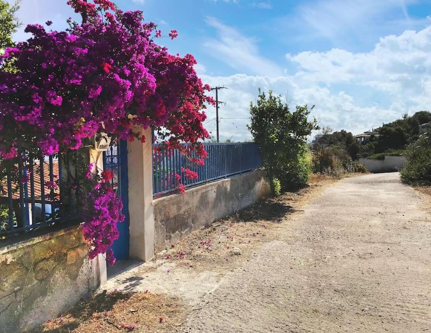 Grandpa's House - Housity