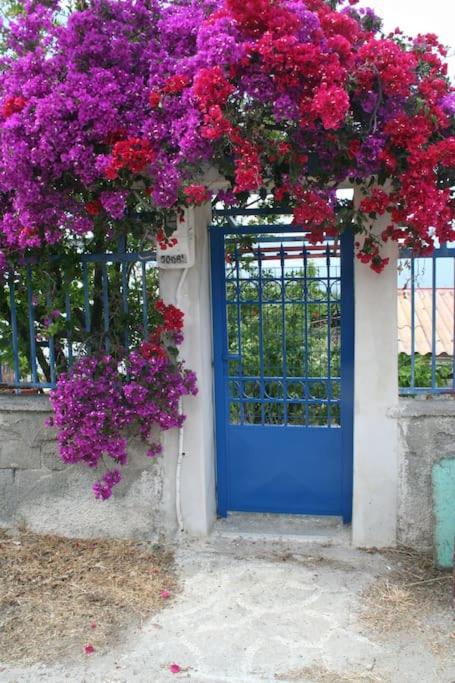 Grandpa's House - Housity