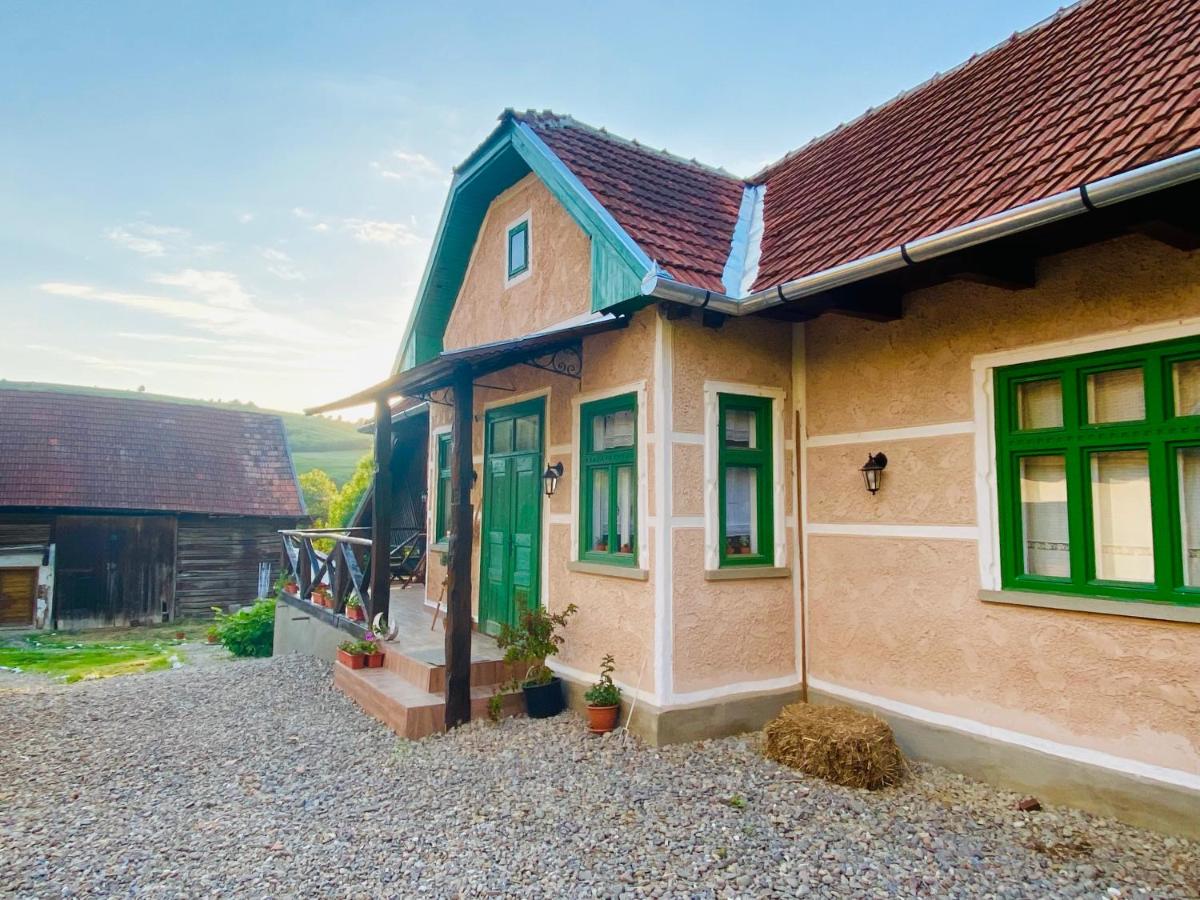 Slow Living Cottage, Dobolii de Sus - Housity