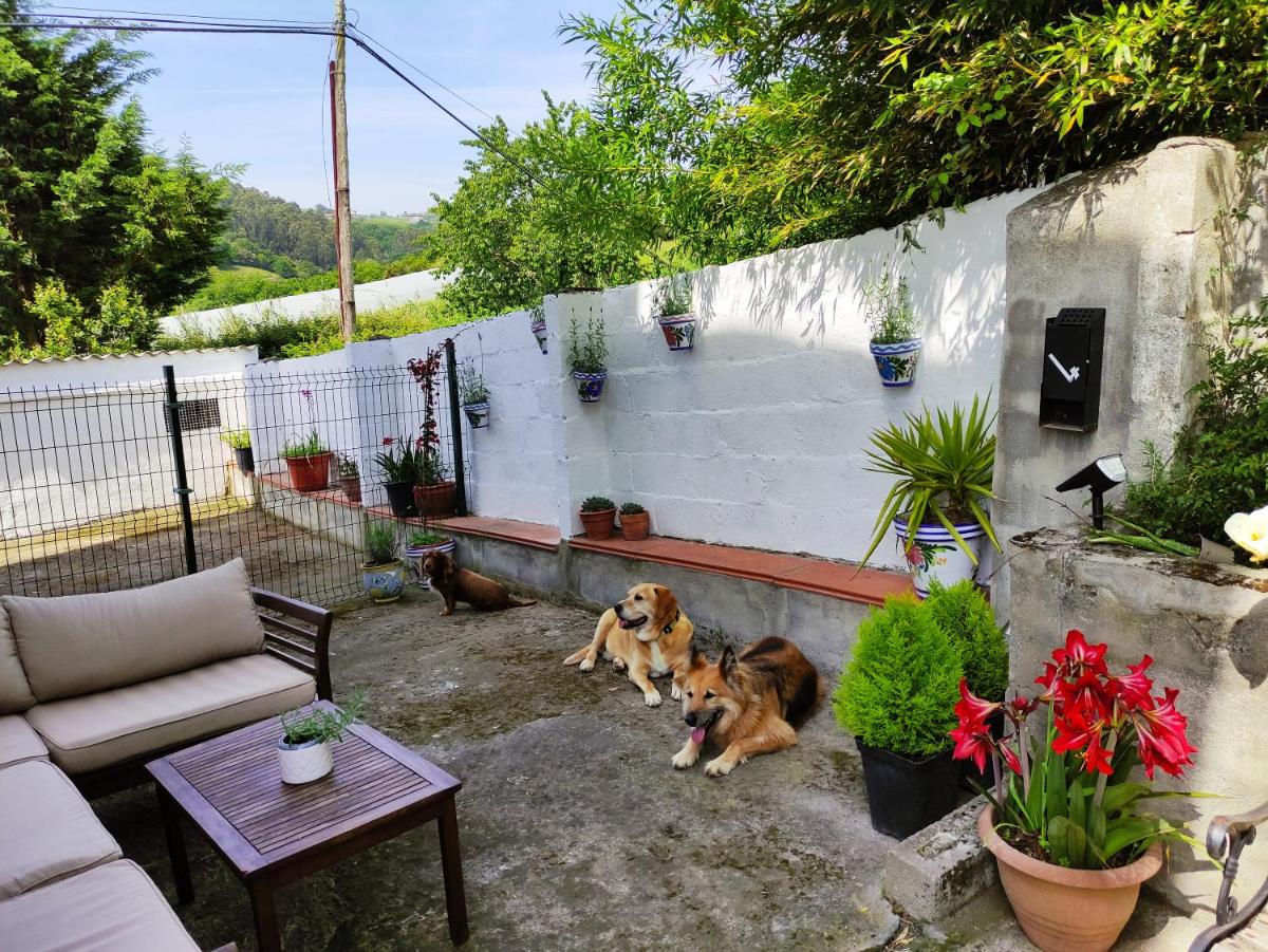 Apartamento Lurra Barrika - Housity