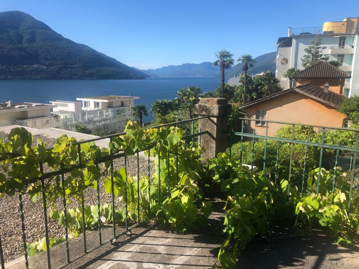 Tanja's Comfort Apartment Brissago - Hizvo