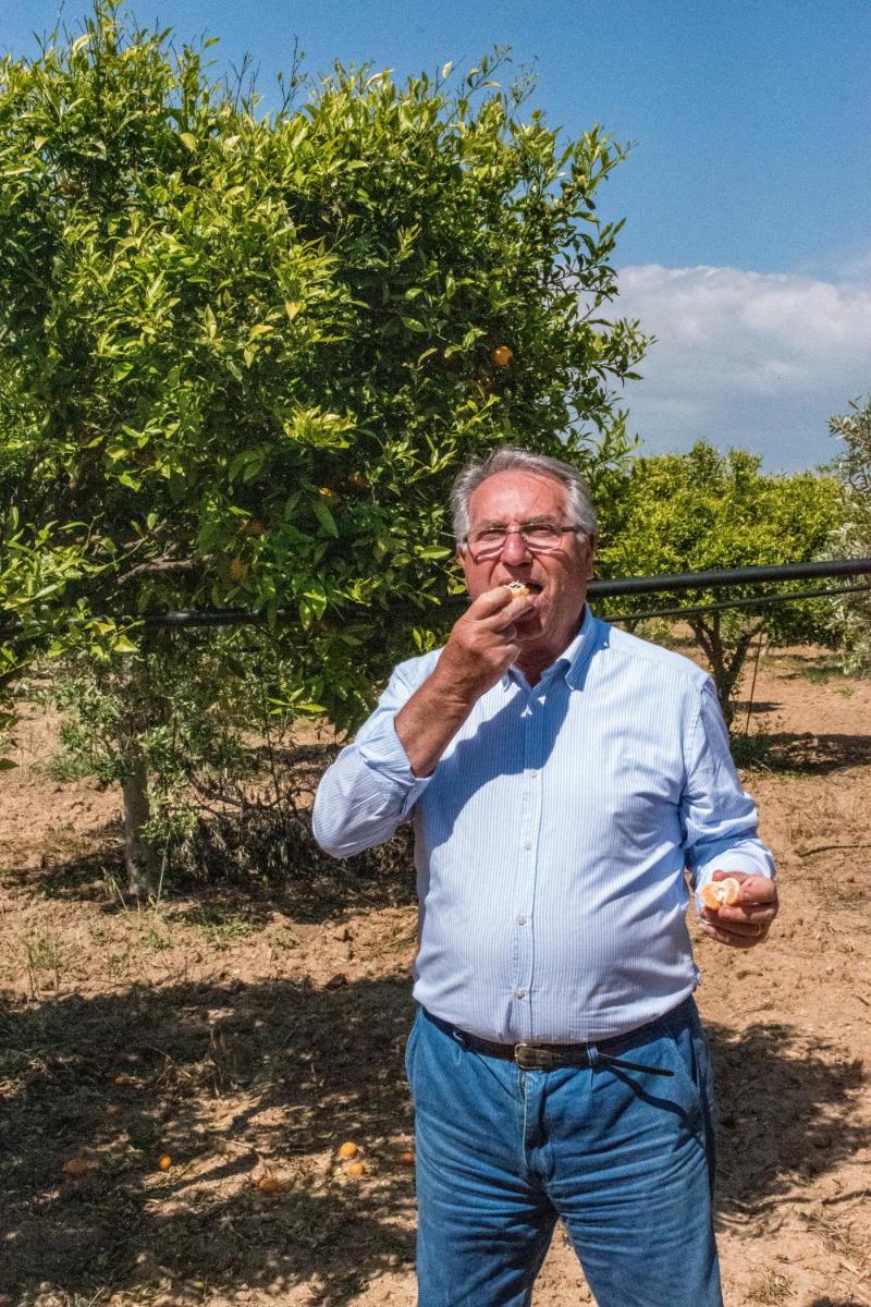 Torre Tabia - Housity