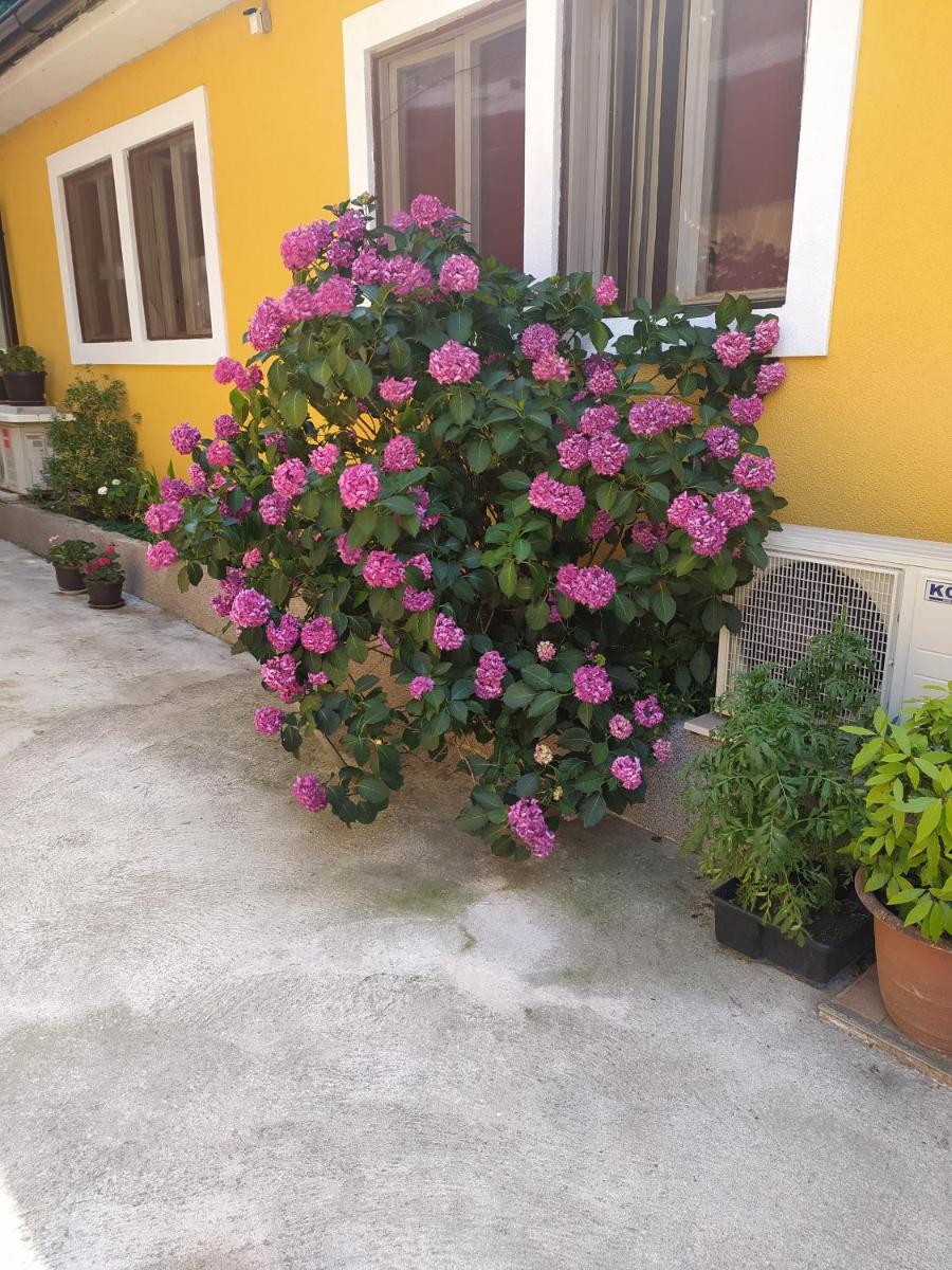 IN Kala - Housity