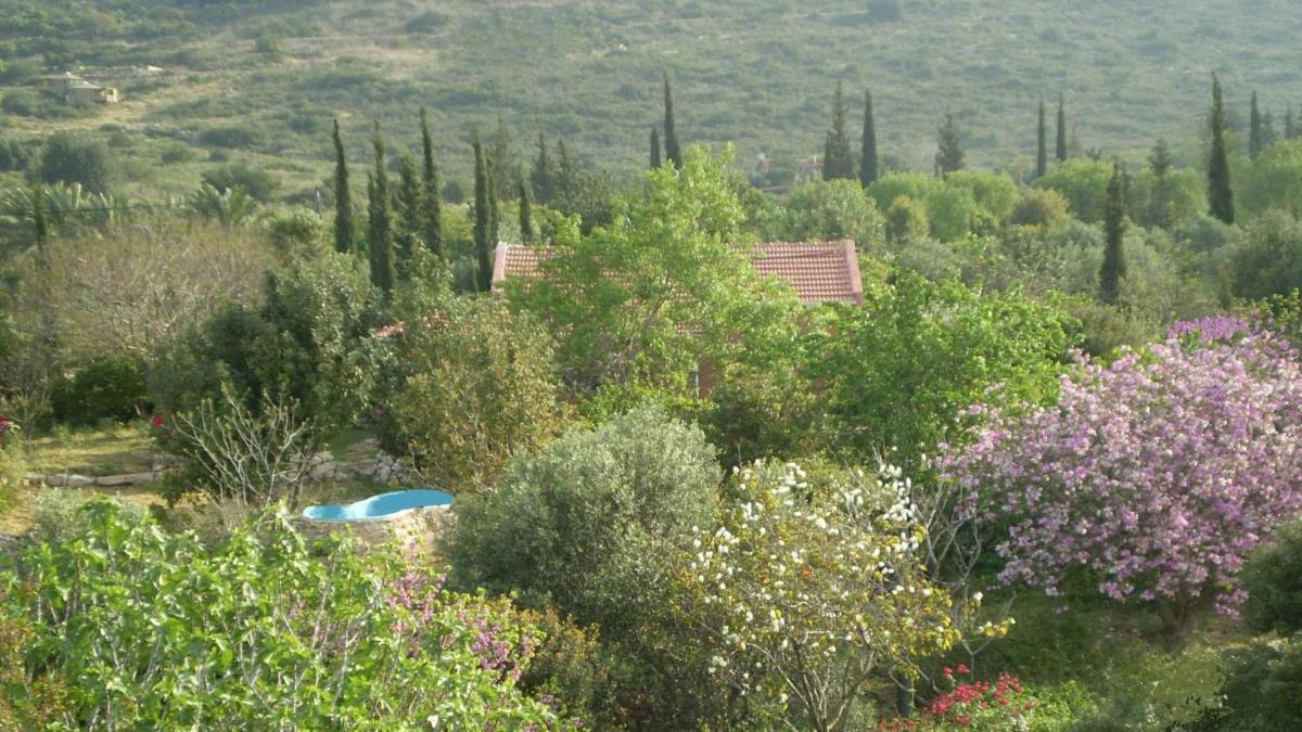 Villa Adama - Housity