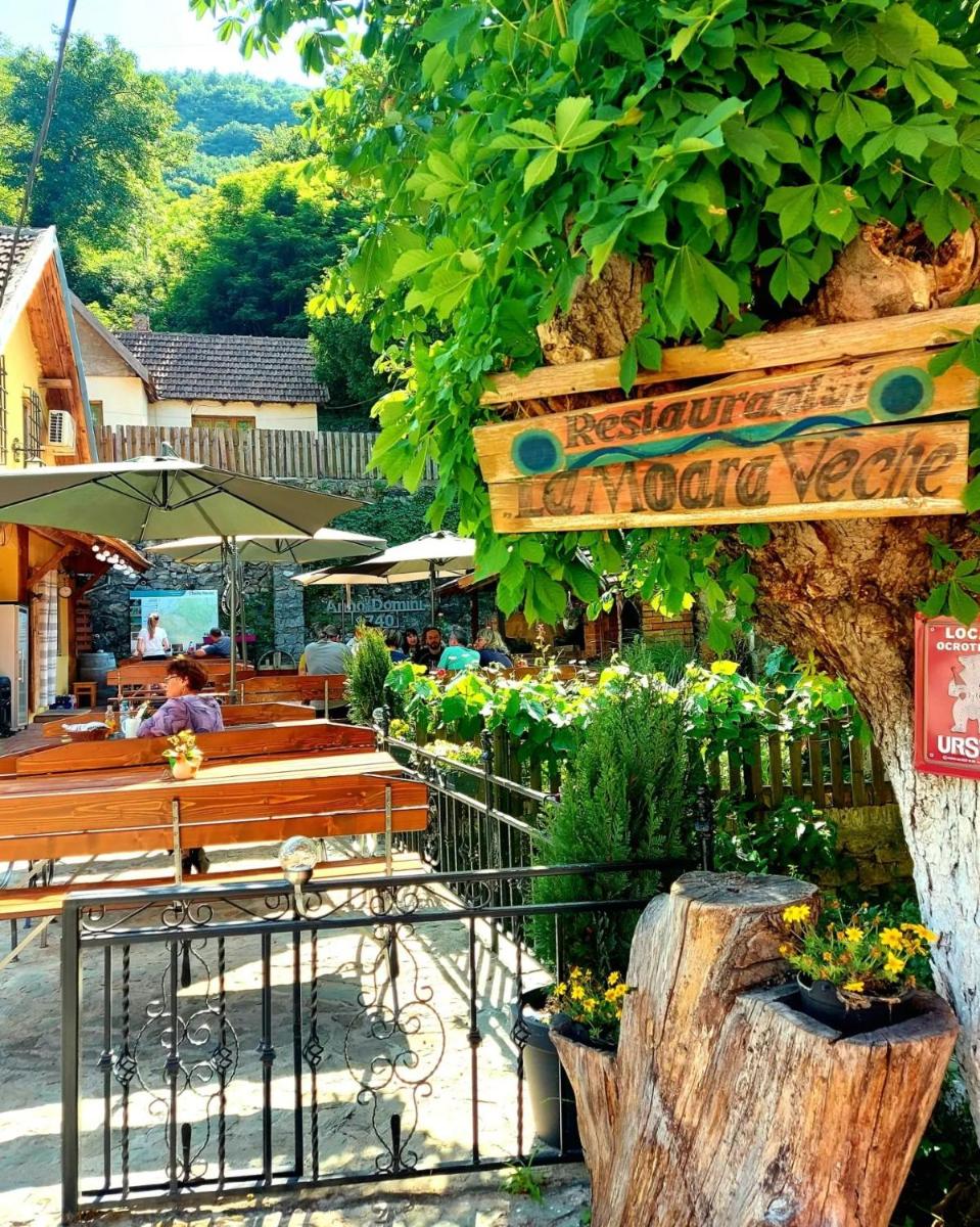 LA VECHEA MOARĂ - Housity