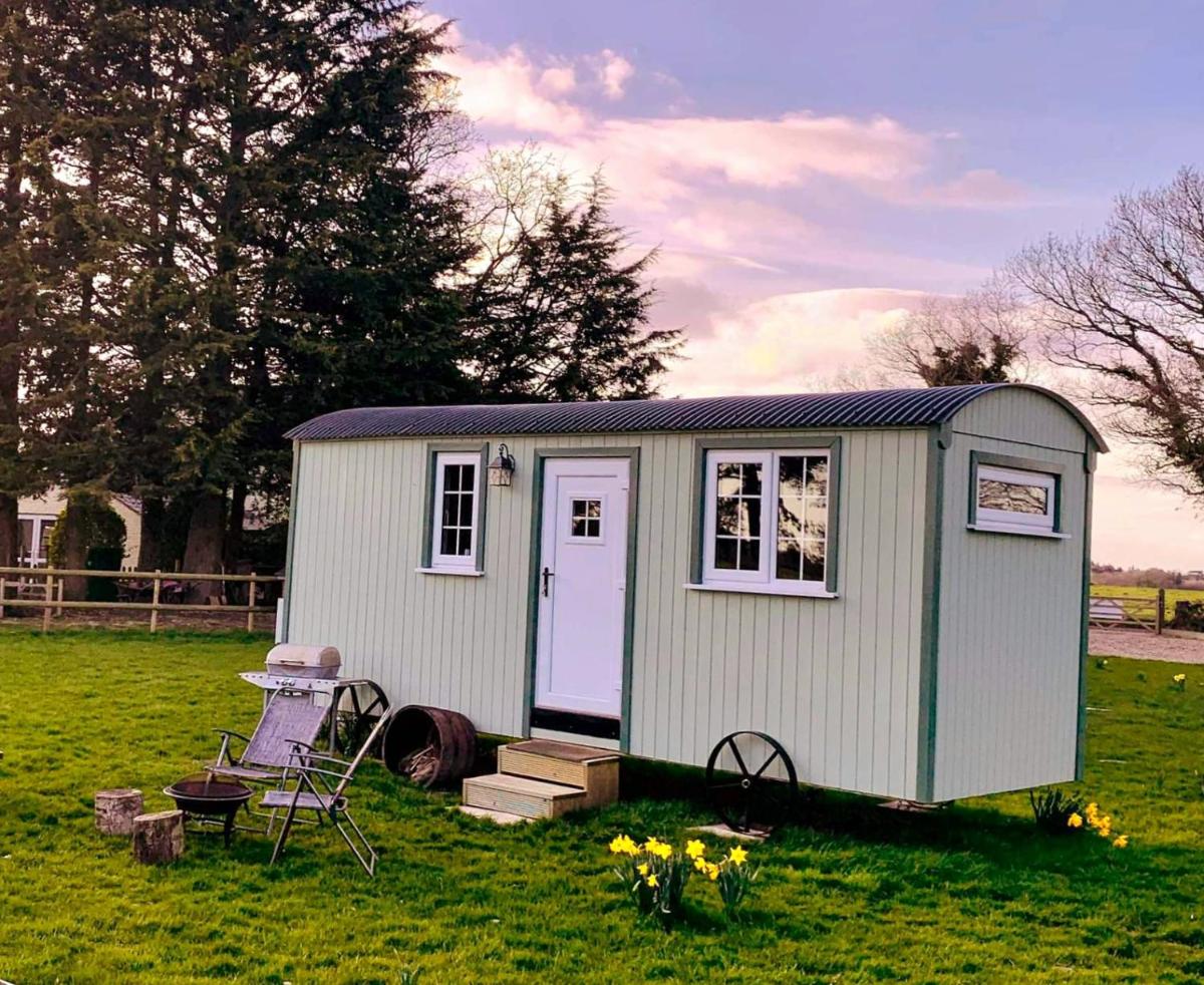 Starry Meadow - Housity