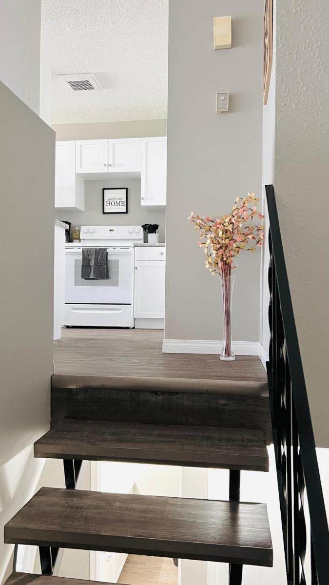Lovely 2 Bedroom apartment - Housity