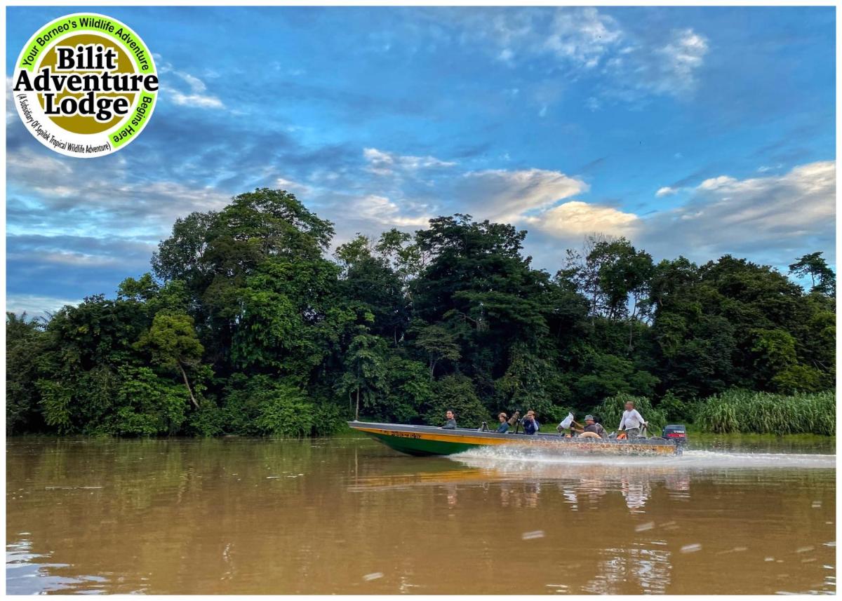 Bilit Adventure Lodge - Housity