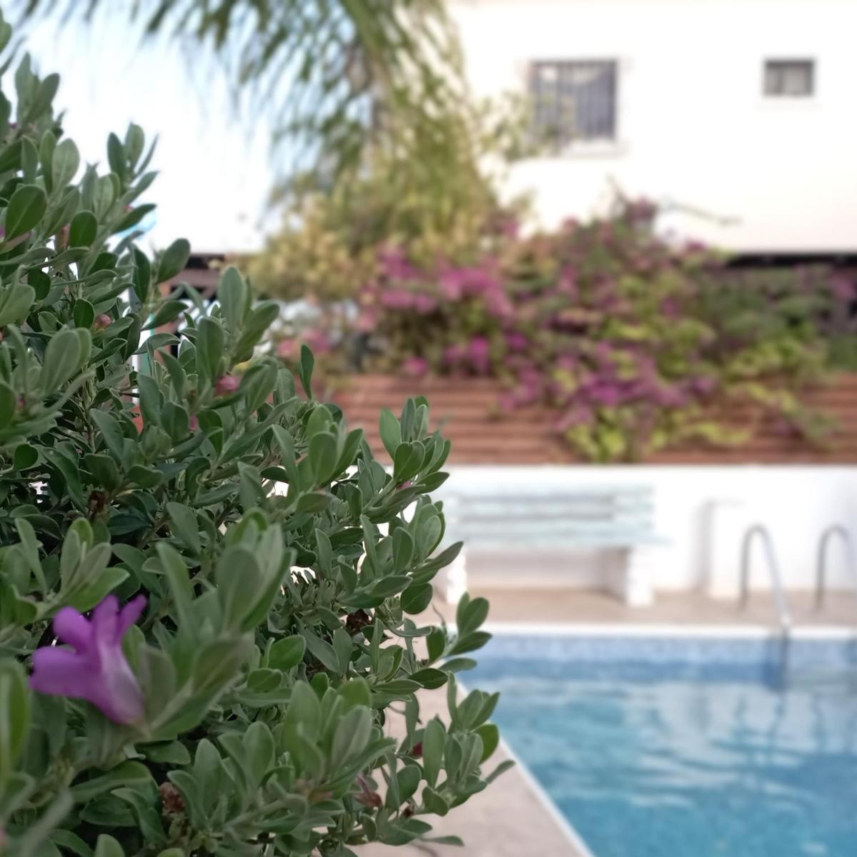 Anastasia Sweethome - Housity
