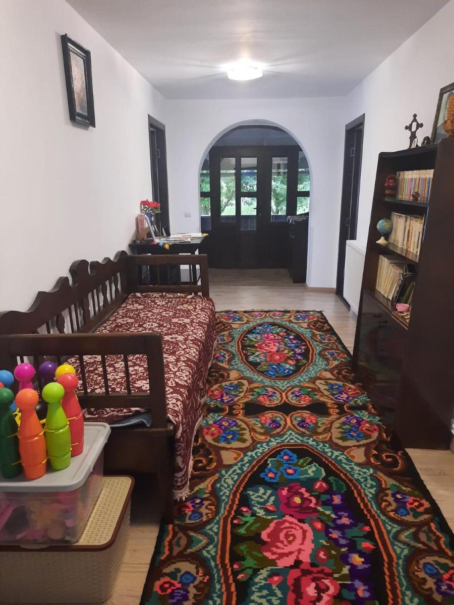 Casa Dumitru si Elena Ciocanesti Bucovina - Housity