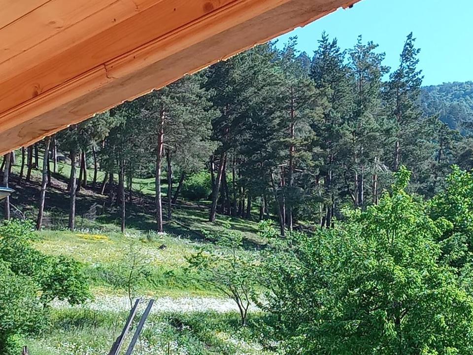 LUKA's COTTAGE - Housity