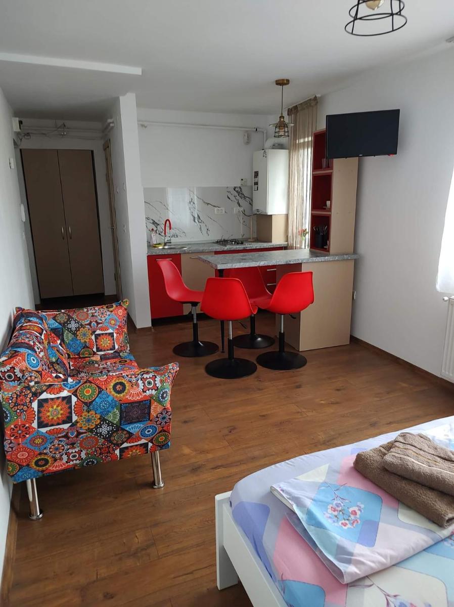 GARSONIERA DANIA&PETRU - Housity