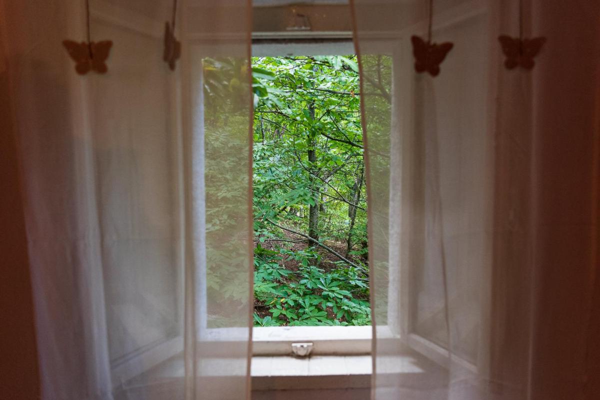SINGLE HOUSE IN THE GREEN WILD! Casa Karmel - Housity