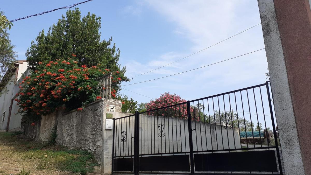 House Jan,Pula - Housity