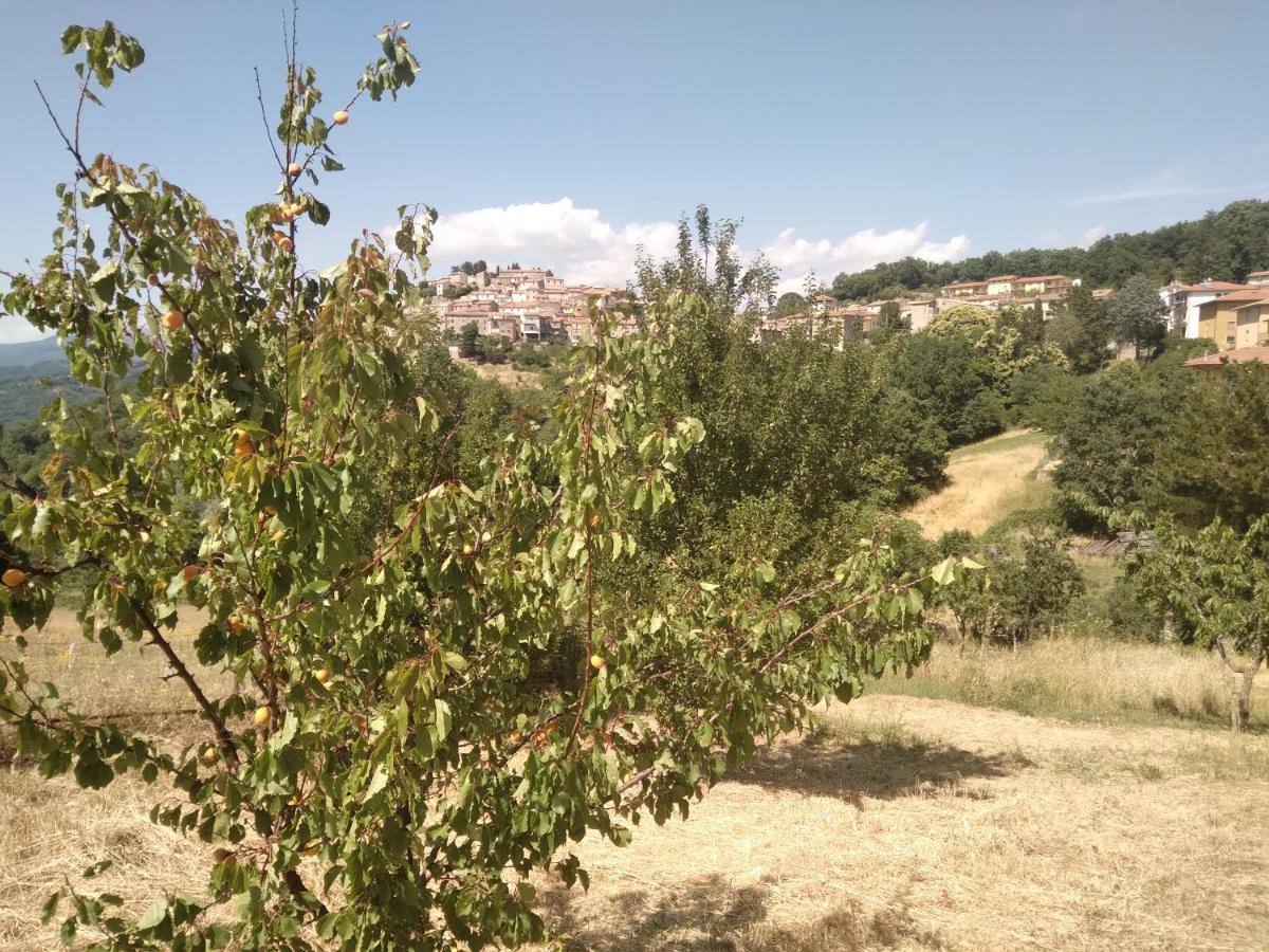 La Casa delle Stelle Appartamento - Housity