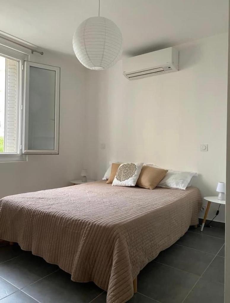 Superbe appartement Corte - Housity