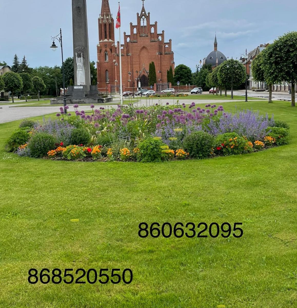 Butas Senamiestyje - Housity