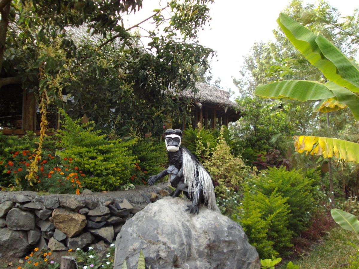 Meru Mbega Lodge - Housity