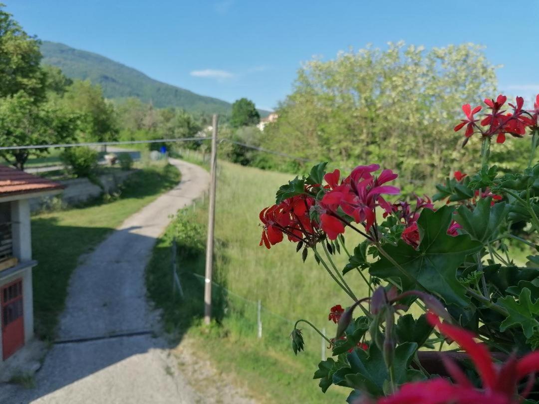 La soffitta di Anita - Housity