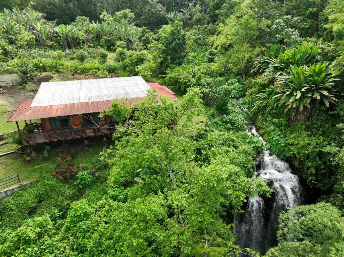 Eden Valley Ecolodge and Farming - Housity