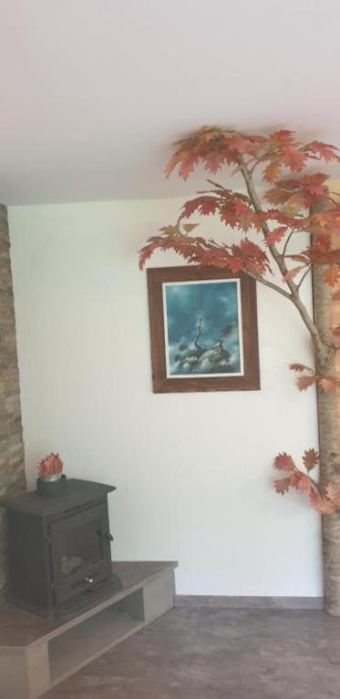 Lepa Lopa resort - Housity