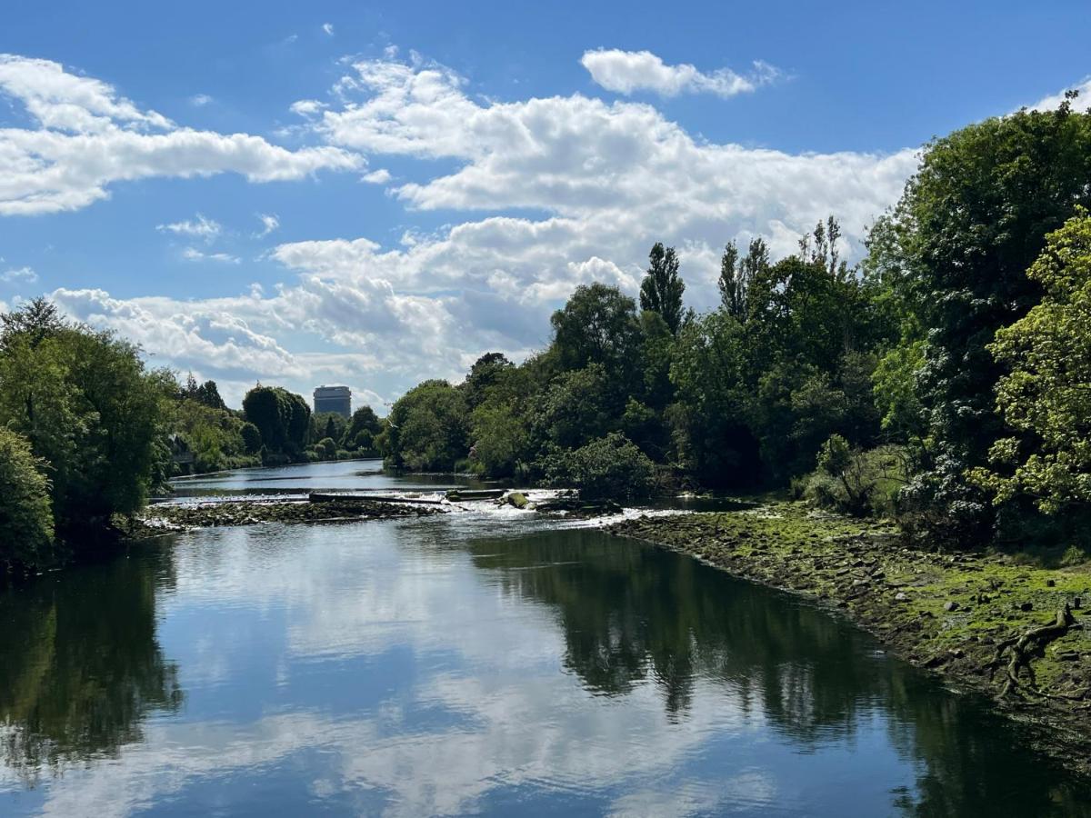 Lovely apartment in Cork - Housity
