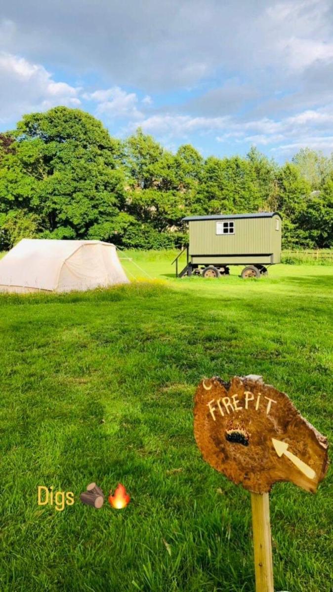 Shepherds Hut, Pickering centre, Glamping hidden meadow - Housity
